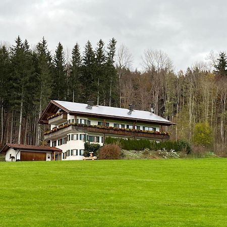 Apartamento Ferienhaus Am Wald Friesenried Exterior foto