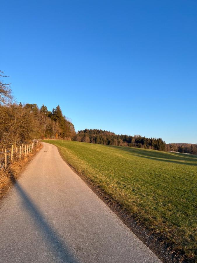 Apartamento Ferienhaus Am Wald Friesenried Exterior foto
