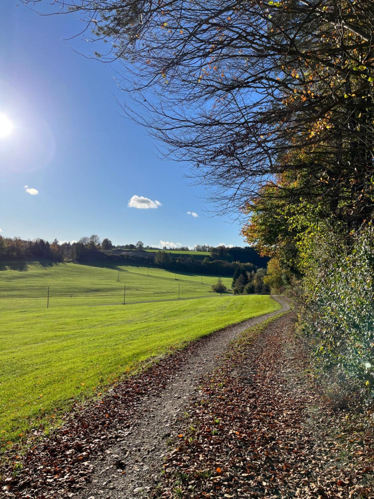 Apartamento Ferienhaus Am Wald Friesenried Exterior foto